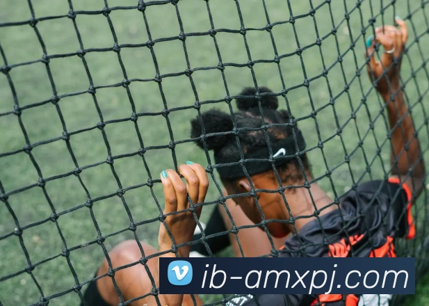 多媒体互动体验